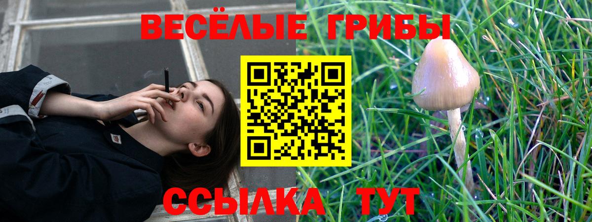 Псилоцибиновые грибы мухоморы  Псилоцибиновые грибы Psilocybe  Вход с VPN  Семилуки 